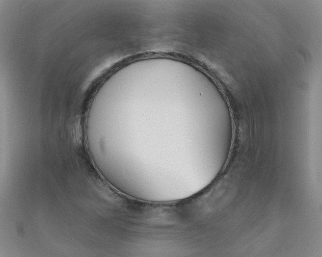 X0000111001262200907022129