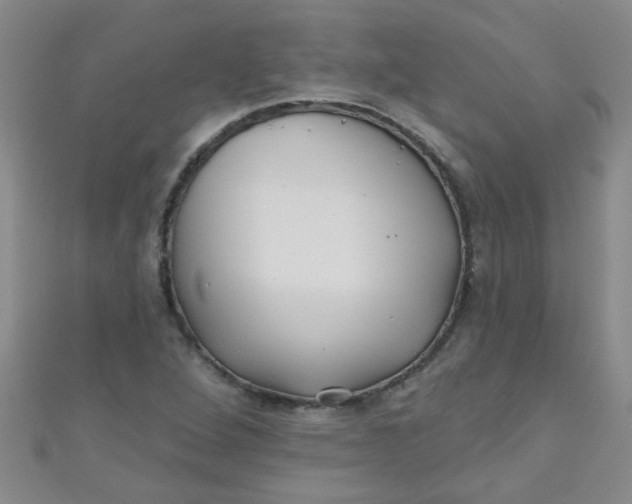 X0000111001264200907022129