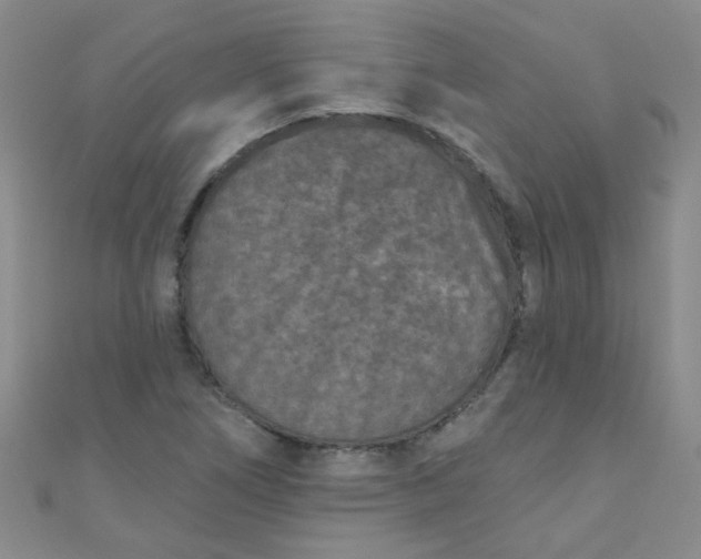 X0000111001266200907022129