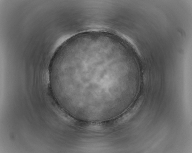 X0000111001267200907022129