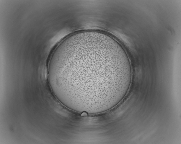 X0000111001269200907022129