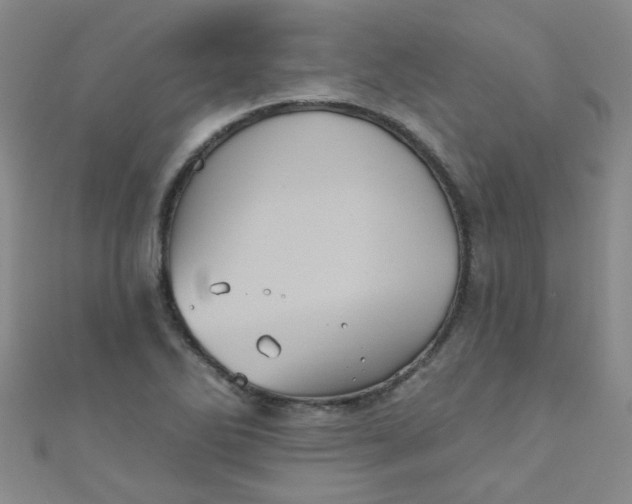 X0000111001270200907022129