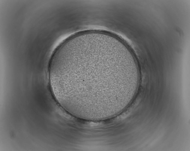 X0000111001271200907022129