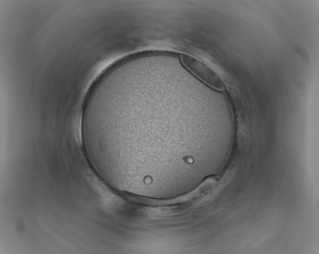 X0000111001272200907022129