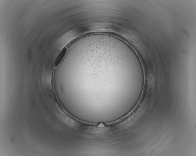 X0000111001273200907022129