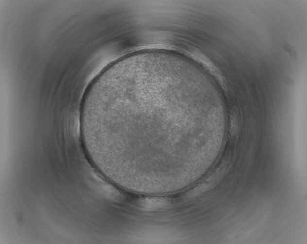 X0000111001274200907022129