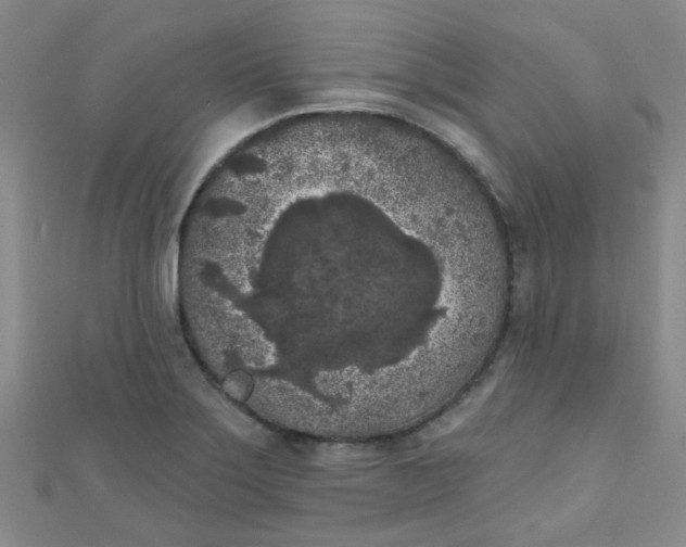 X0000111001275200907022129