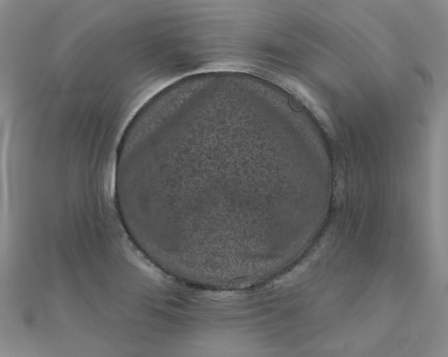 X0000111001276200907022129