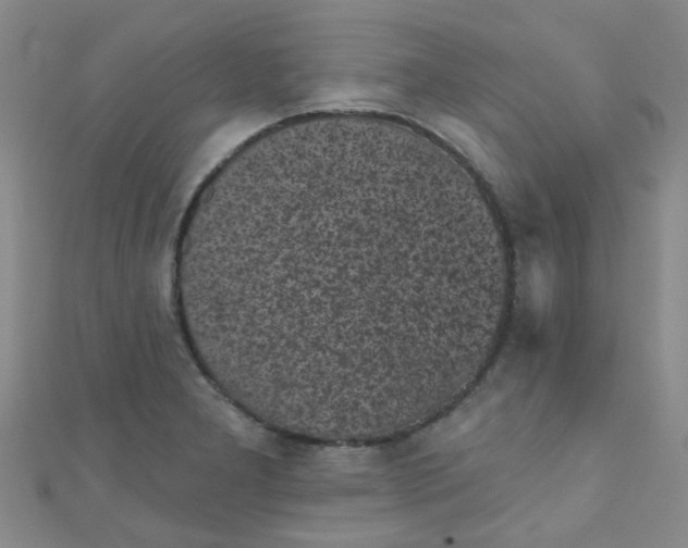 X0000111001277200907022129