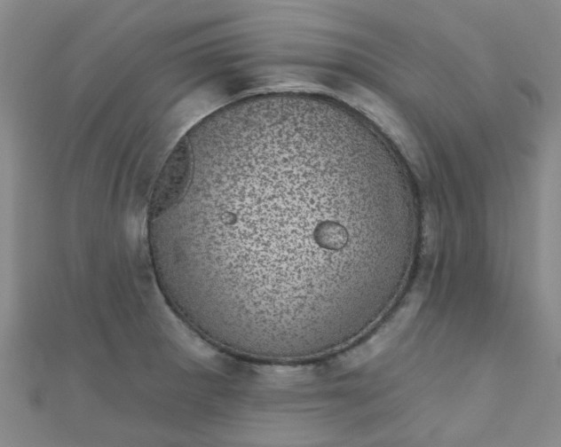 X0000111001281200907022129