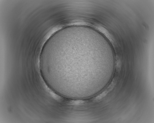 X0000111001282200907022129