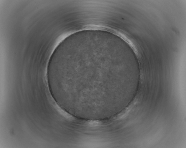 X0000111001283200907022129