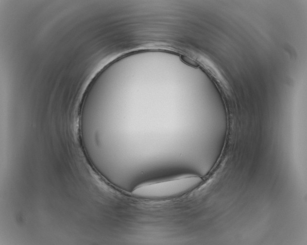 X0000111001284200907022129