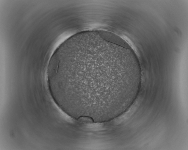 X0000111001285200907022129