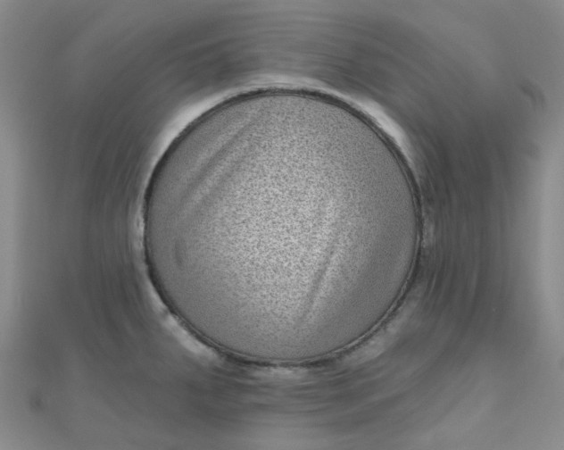 X0000111001287200907022129