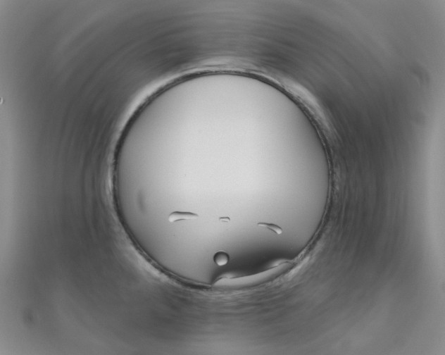 X0000111001288200907022129