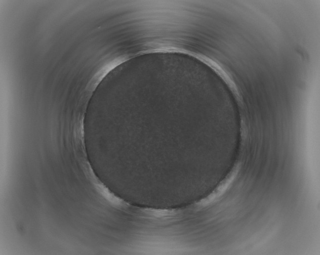 X0000111001289200907022129