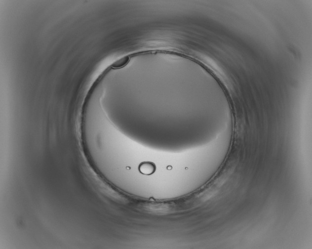 X0000111001291200907022129