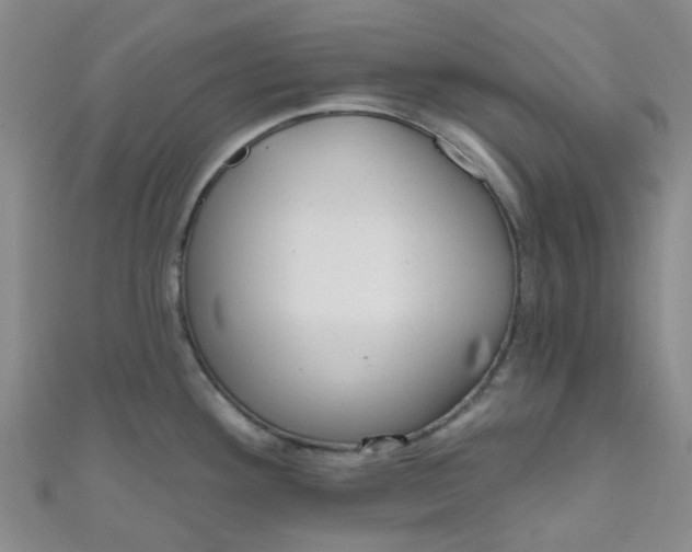 X0000111001292200907022129