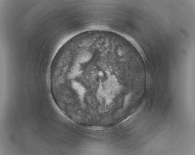 X0000111001295200907022129