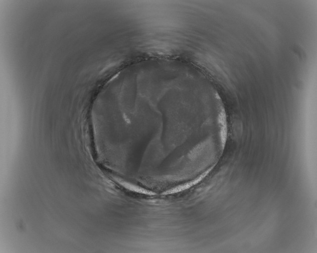 X0000111001297200907022128