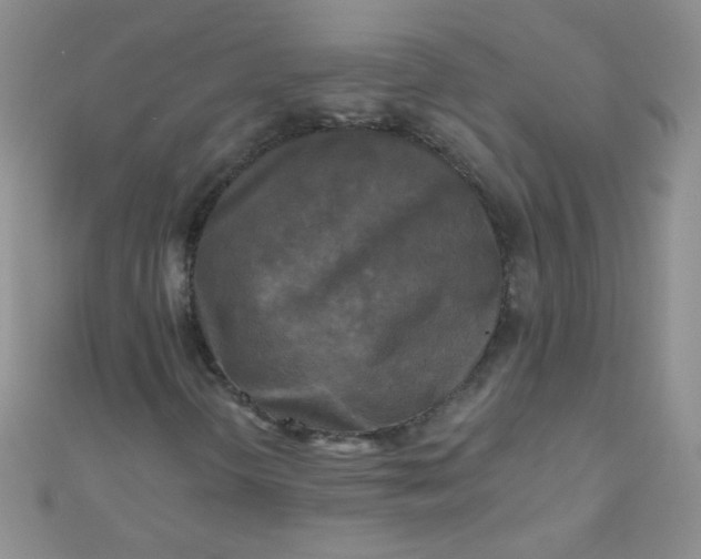 X0000111001298200907022128