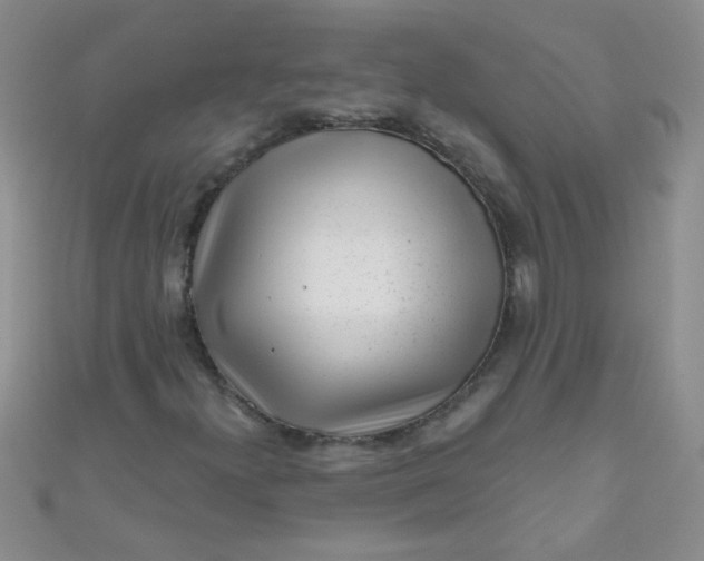 X0000111001300200907022128