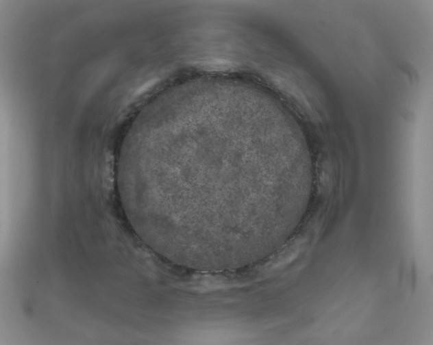 X0000111001301200907022128