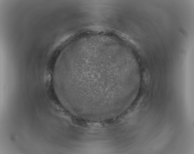 X0000111001302200907022128