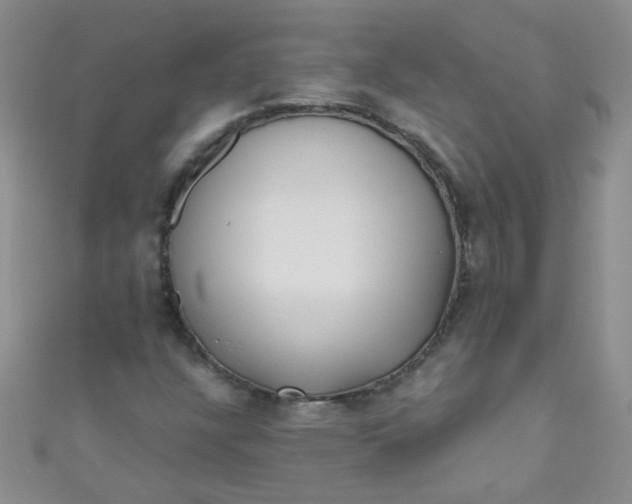 X0000111001304200907022128