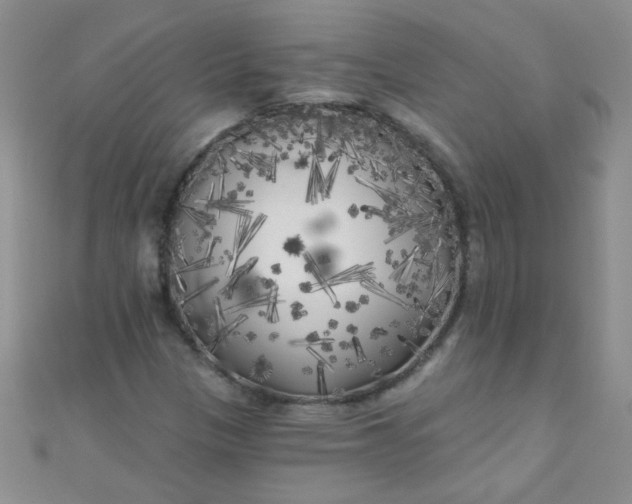 X0000111001305200907022128