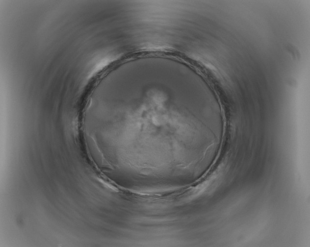 X0000111001306200907022128