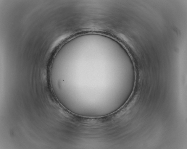 X0000111001307200907022128