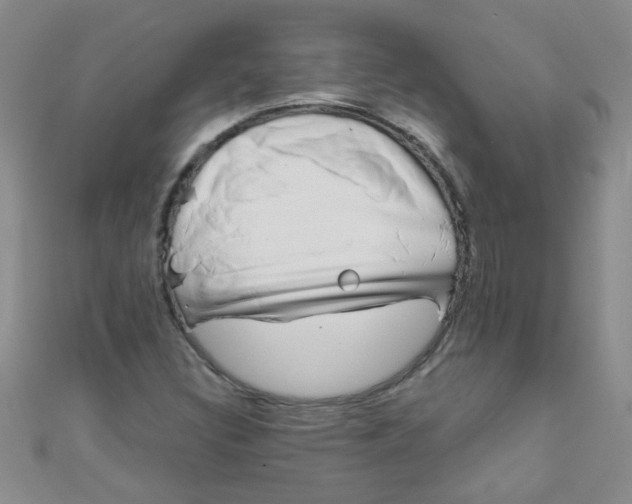 X0000111001308200907022128