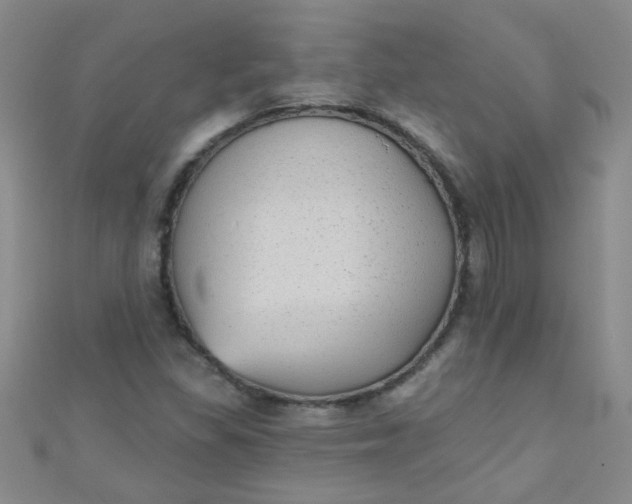 X0000111001309200907022128