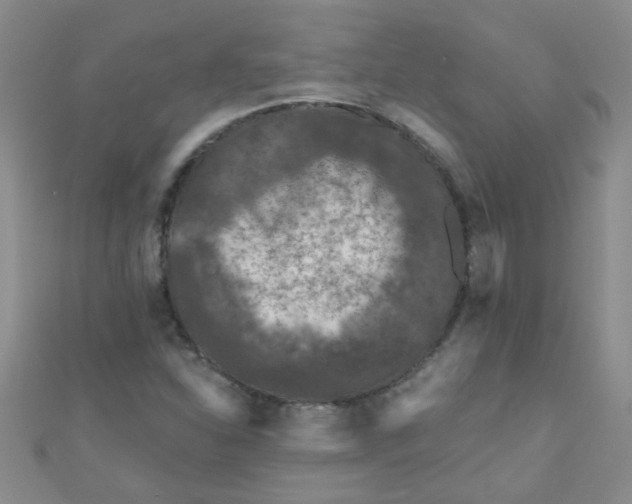 X0000111001310200907022128