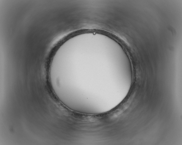 X0000111001311200907022128