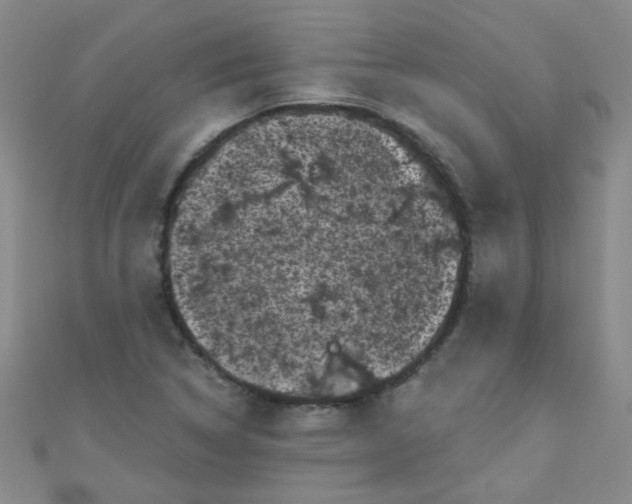 X0000111001314200907022128