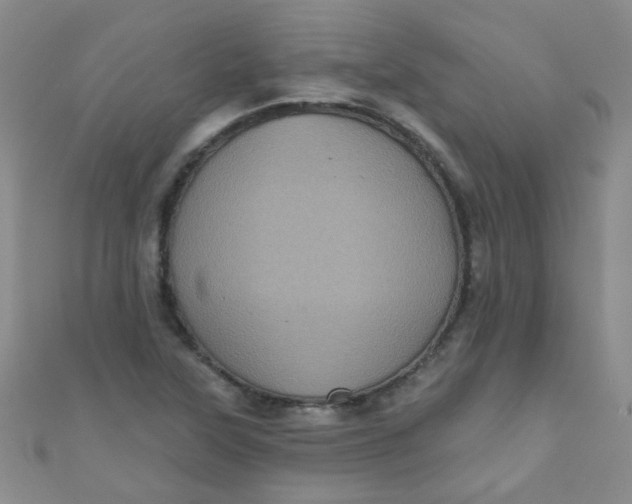 X0000111001315200907022128