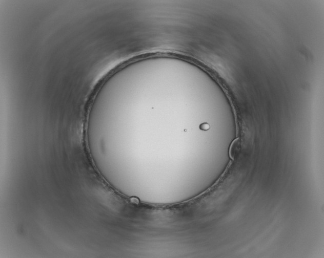 X0000111001316200907022128