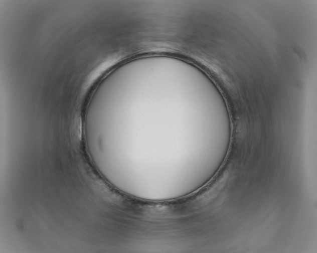 X0000111001317200907022128