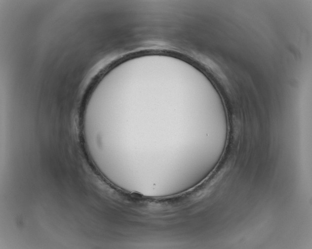 X0000111001318200907022128