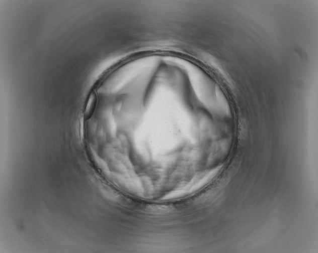 X0000111001320200907022128