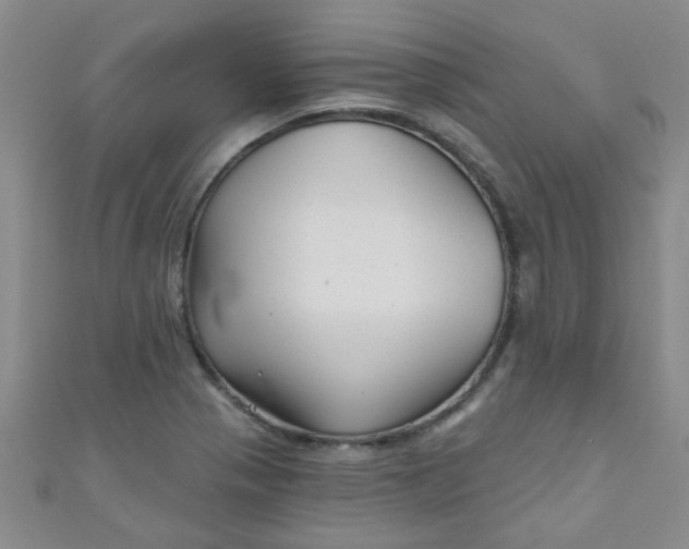 X0000111001321200907022128