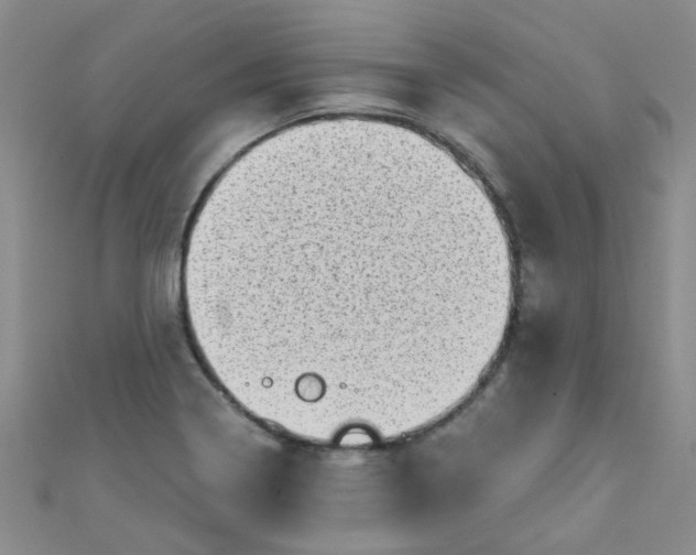 X0000111001322200907022128