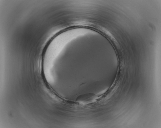 X0000111001323200907022128