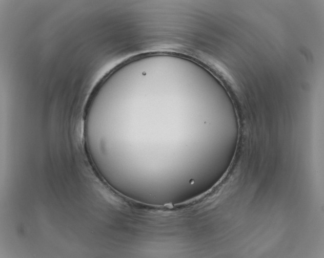 X0000111001324200907022129