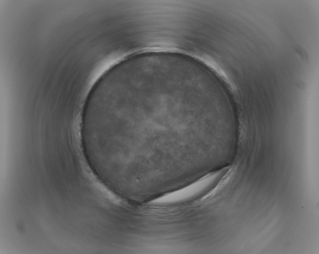 X0000111001325200907022129