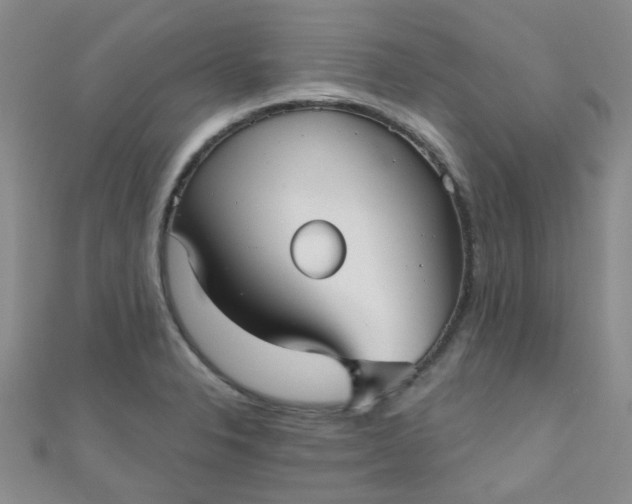 X0000111001326200907022129