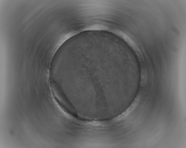 X0000111001329200907022129